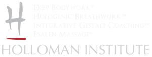 holloman institute logo banner